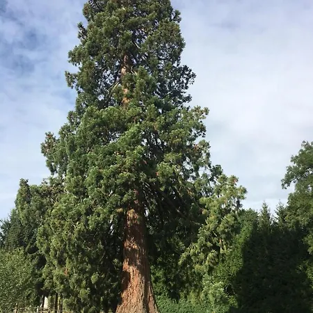 Bed and Breakfast Le Manoir Du Ribardon 3*