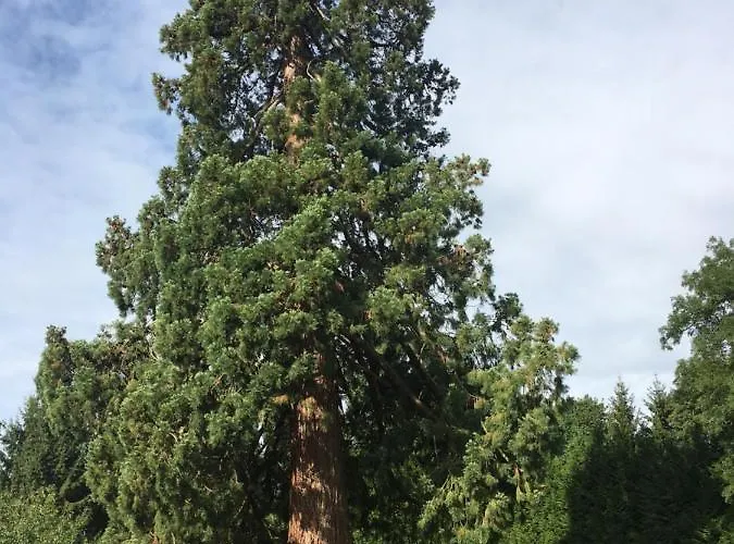 Bed & Breakfast Le Manoir Du Ribardon 3*