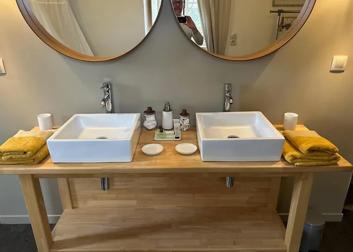 Le Manoir Du Ribardon Bed and breakfast 3*