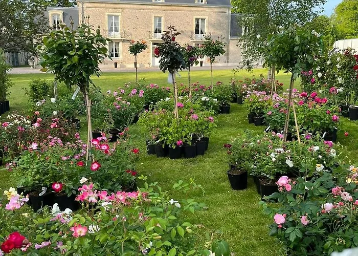 Le Manoir Du Ribardon 3*